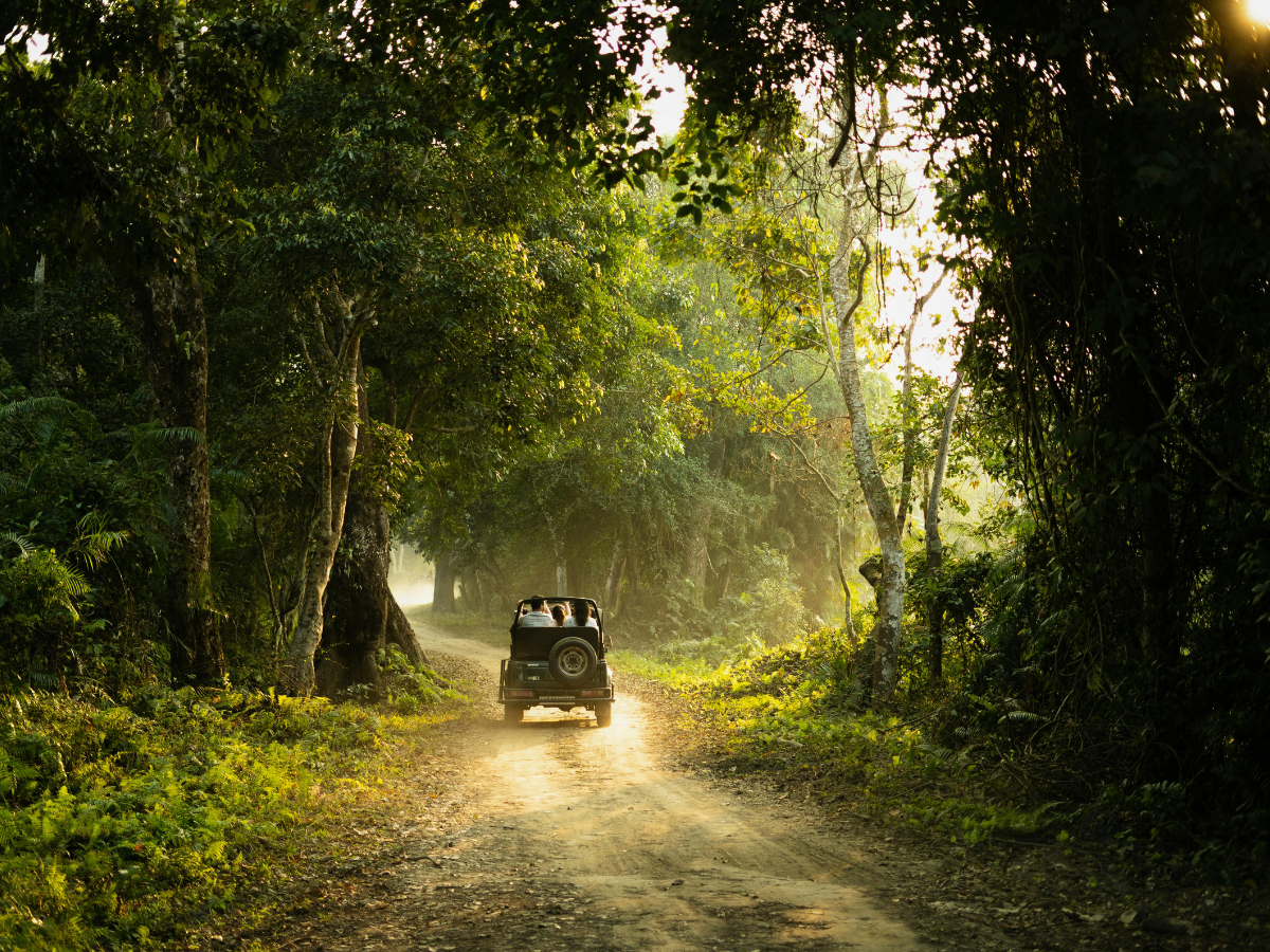 Kaziranga Jeep Safari